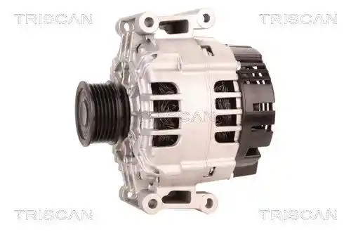 TRISCAN 8310 29039