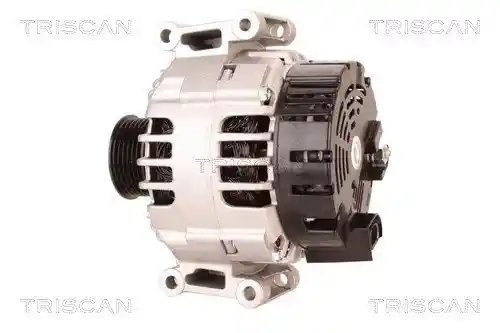 TRISCAN 8310 29039
