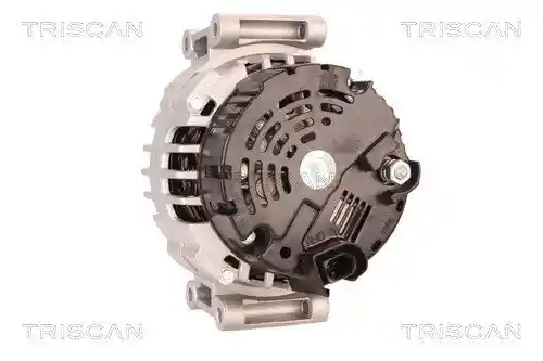 TRISCAN 8310 29039