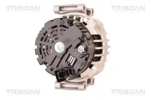 TRISCAN 8310 29039