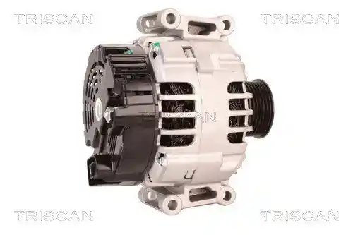 TRISCAN 8310 29039