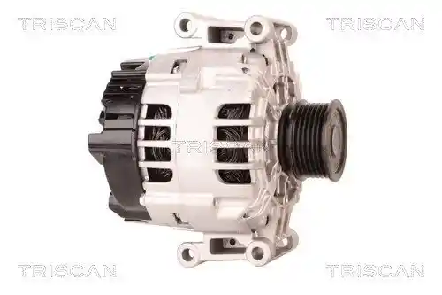 TRISCAN 8310 29039