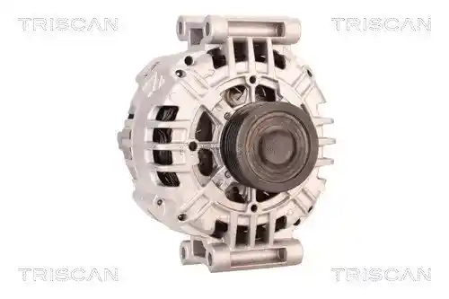 TRISCAN 8310 29039