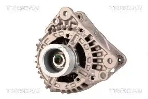 TRISCAN 8310 29040