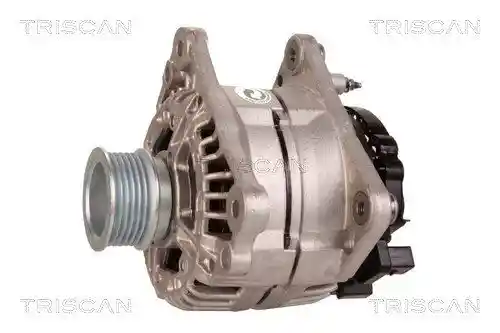 TRISCAN 8310 29040