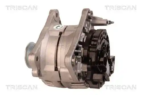TRISCAN 8310 29040