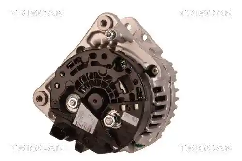 TRISCAN 8310 29040