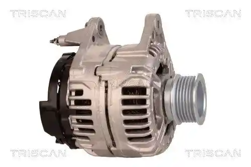 TRISCAN 8310 29040