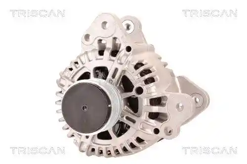 TRISCAN 8310 29041 TRISCAN 8310 29041
