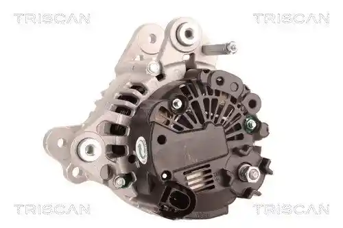 TRISCAN 8310 29041 TRISCAN 8310 29041