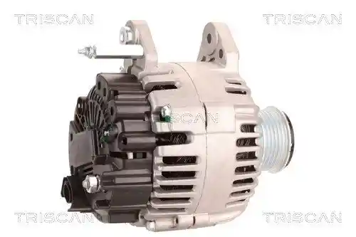 TRISCAN 8310 29041 TRISCAN 8310 29041