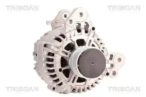 TRISCAN 8310 29041 TRISCAN 8310 29041