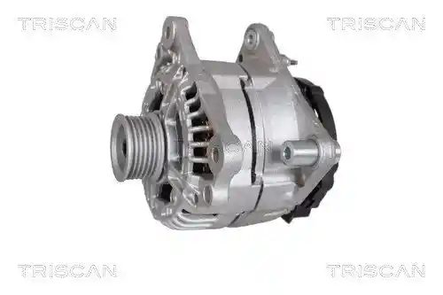 TRISCAN 8310 29042