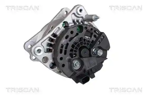 TRISCAN 8310 29042