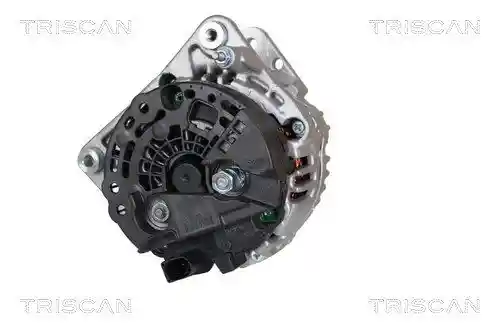 TRISCAN 8310 29042