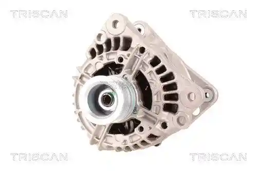 TRISCAN 8310 29079