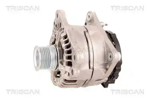 TRISCAN 8310 29079