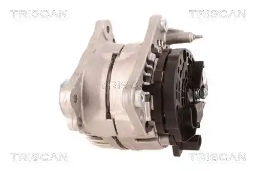 TRISCAN 8310 29079