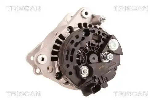 TRISCAN 8310 29079