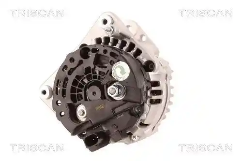 TRISCAN 8310 29079