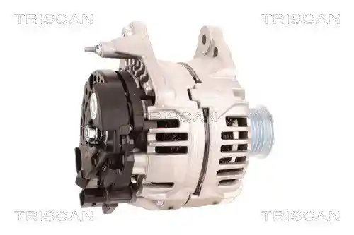 TRISCAN 8310 29079
