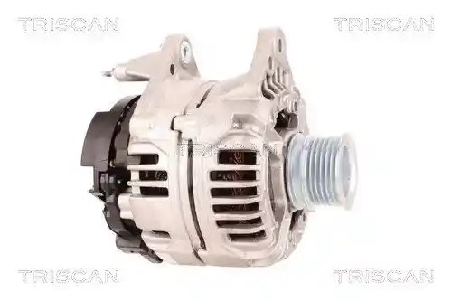 TRISCAN 8310 29079