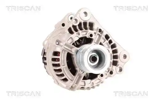 TRISCAN 8310 29079
