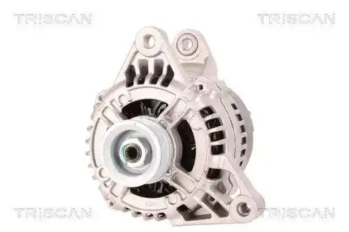 TRISCAN 8310 29080