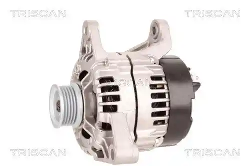 TRISCAN 8310 29080