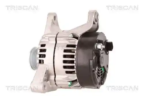 TRISCAN 8310 29080