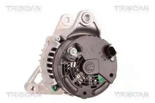 TRISCAN 8310 29080