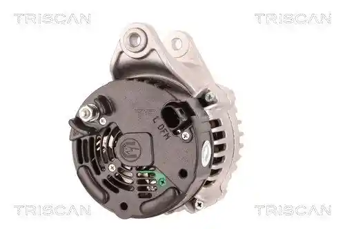TRISCAN 8310 29080