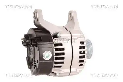 TRISCAN 8310 29080