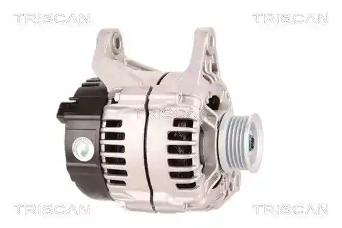TRISCAN 8310 29080