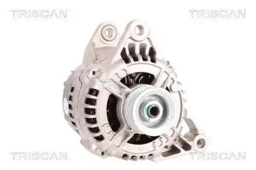TRISCAN 8310 29080