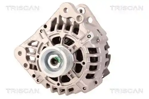 TRISCAN 8310 29081 TRISCAN 8310 29081