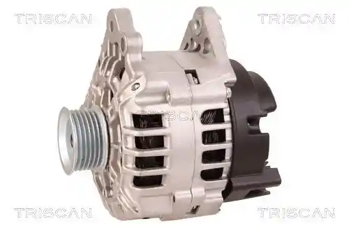 TRISCAN 8310 29081 TRISCAN 8310 29081