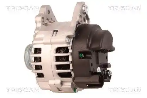 TRISCAN 8310 29081 TRISCAN 8310 29081