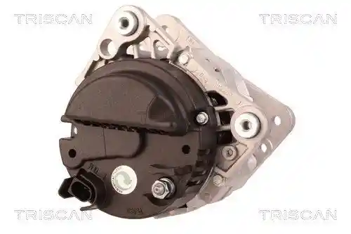 TRISCAN 8310 29081 TRISCAN 8310 29081