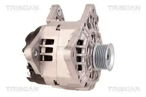 TRISCAN 8310 29081 TRISCAN 8310 29081