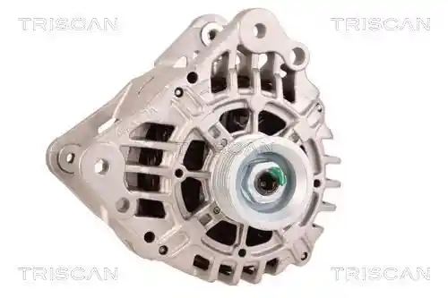 TRISCAN 8310 29081 TRISCAN 8310 29081