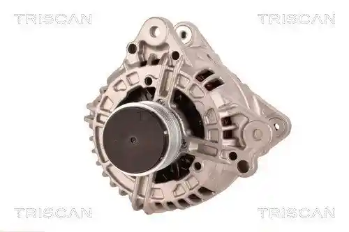 TRISCAN 8310 29110