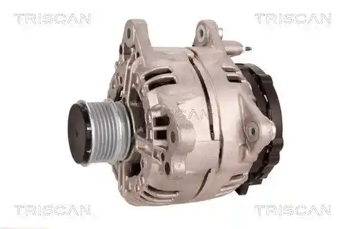 TRISCAN 8310 29110
