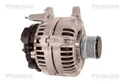 TRISCAN 8310 29110