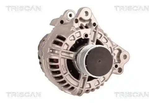 TRISCAN 8310 29110