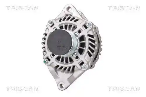 TRISCAN 8310 42001