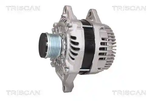 TRISCAN 8310 42001