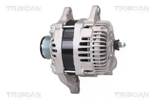 TRISCAN 8310 42001