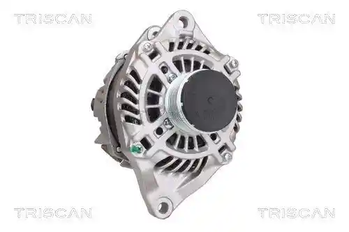 TRISCAN 8310 42001