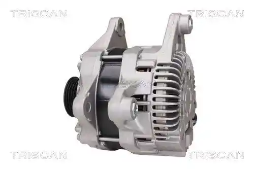 TRISCAN 8310 50001